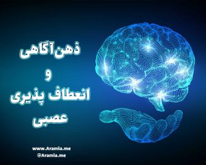 ذهن‌آگاهی انعطاف پذیری عصبی