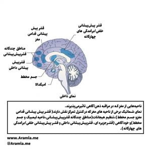 ذهن آگاهی انعطاف پذیری عصبی