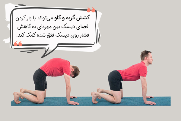 کشش گربه گاو یوگا برای دیسک کمر
