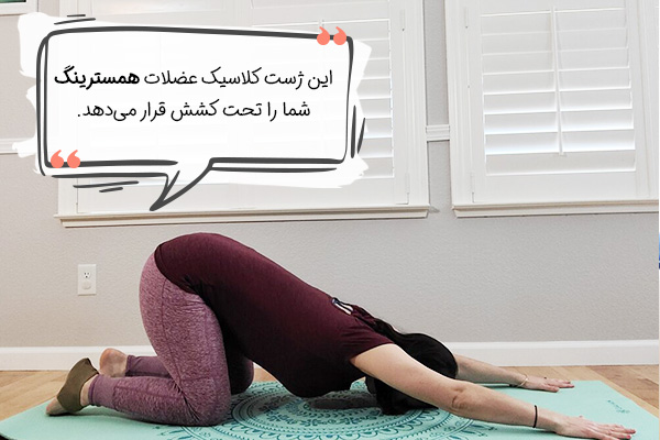 حرکت سگ سر پایین