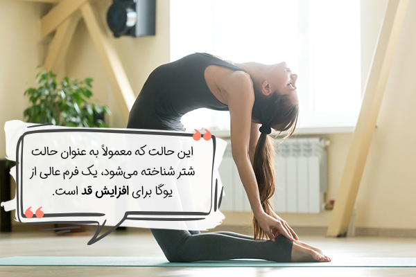 حرکت شتر یوگا برای افزایش قد