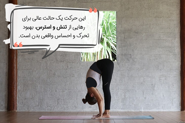 حرکات یوگا برای انعطاف