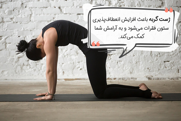 ژست گربه یوگا ضد اضطراب