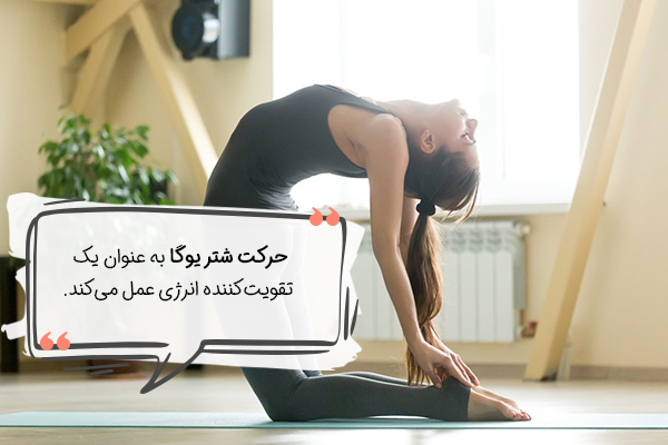 ژست شتر یوگا