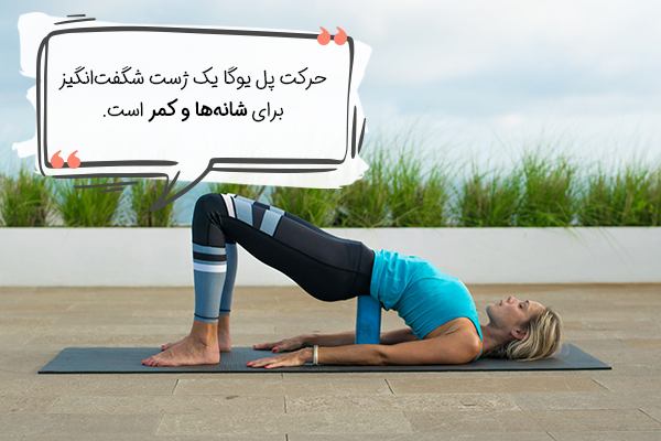 حرکت پل برای انعطاف