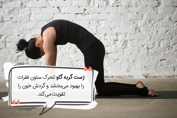 ژست گربه گاو یوگا بارداری
