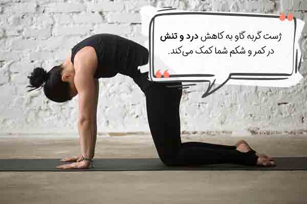 ژست گربه گاو یوگا پریودی