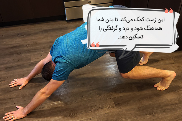 سگ سر رو به پایین