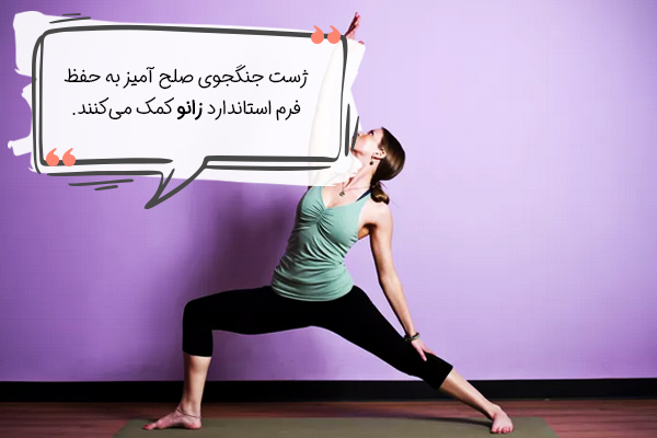 ژست جنگجوی صلح آمیز