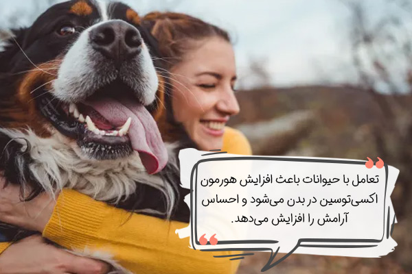 درمان استرس از طریق تعامل با حیوانات