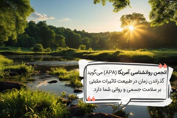 تاثیر طبیعت بر افزایش قدرت تمرکز