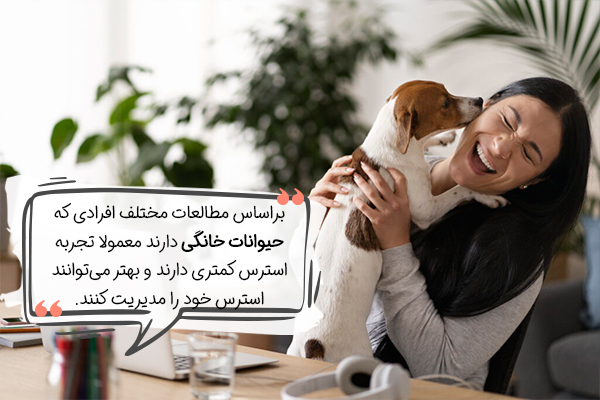 نوازش حیوانات، راهکاری برای درمان خانگی استرس