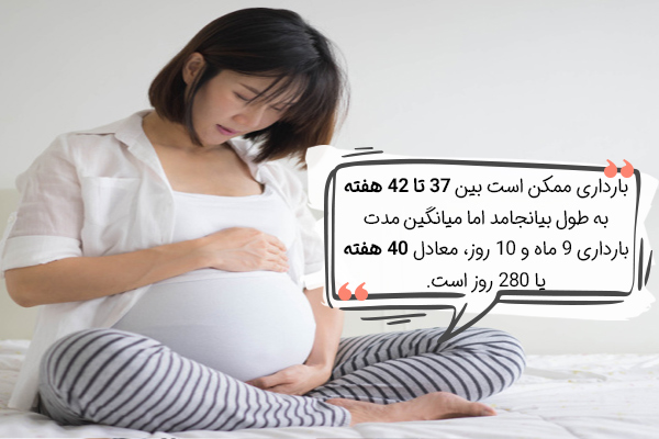 بارداری چند هفته است؟
