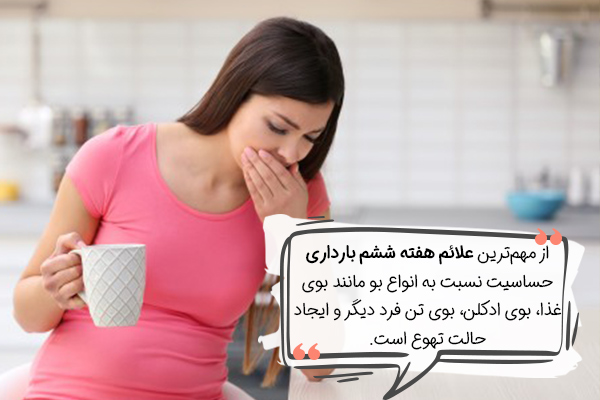 علائم بارداری در هفته ششم چیست؟