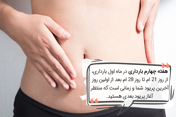 هفته چهارم بارداری دقیقا چه زمانی است؟