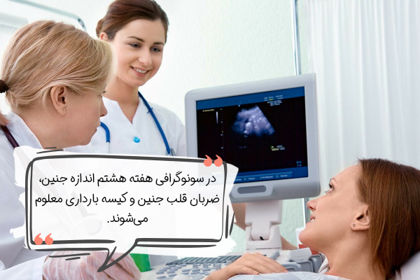 سونوگرافی در هفته هشتم بارداری