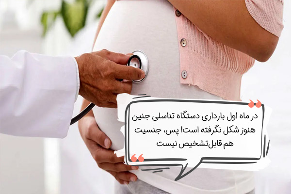 علائم صددرصد جنین پسر در ماه اول